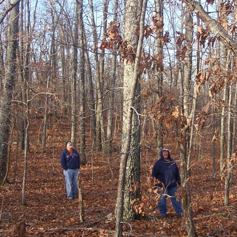 Illinois landowners enjoying woodland.
